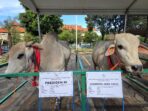 IMG-20250604-WA0105